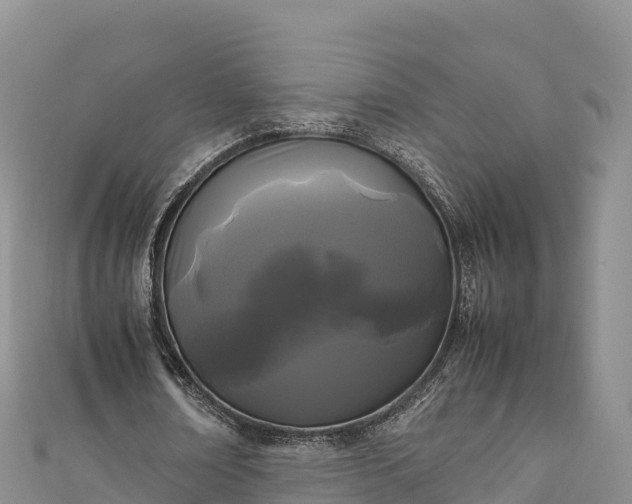 X0000111190674200907081257