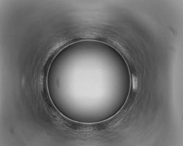 X0000111190675200907081256