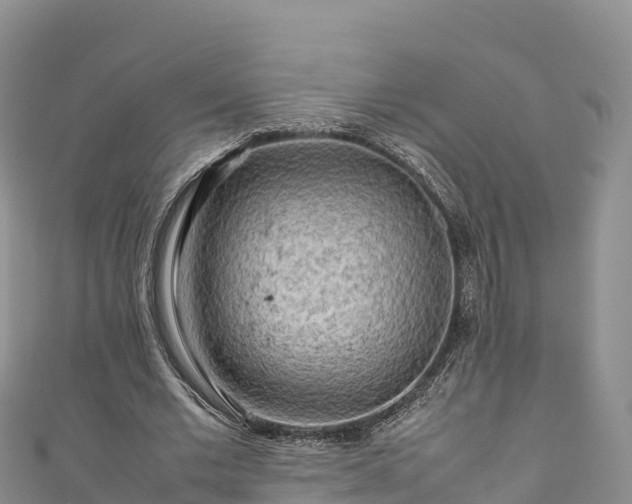 X0000111190677200907081256