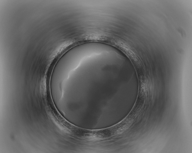 X0000111190678200907081256