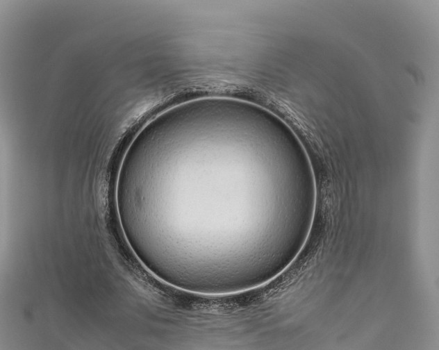 X0000111190679200907081256