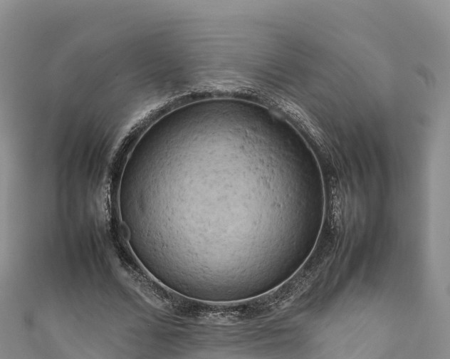 X0000111190680200907081256