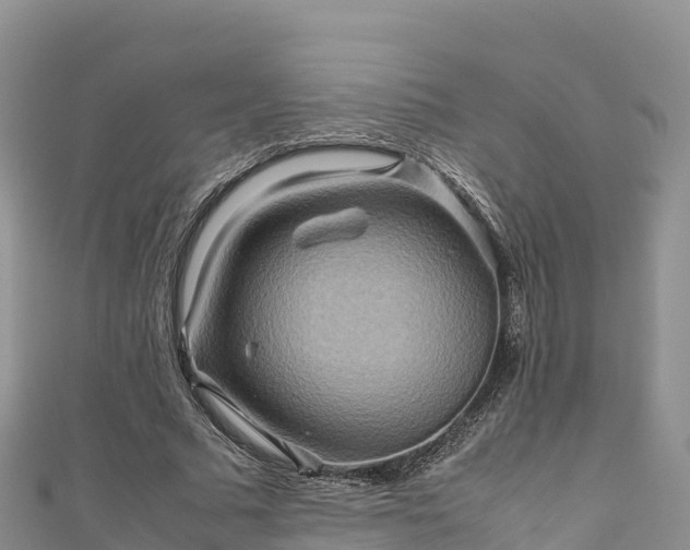 X0000111190681200907081256