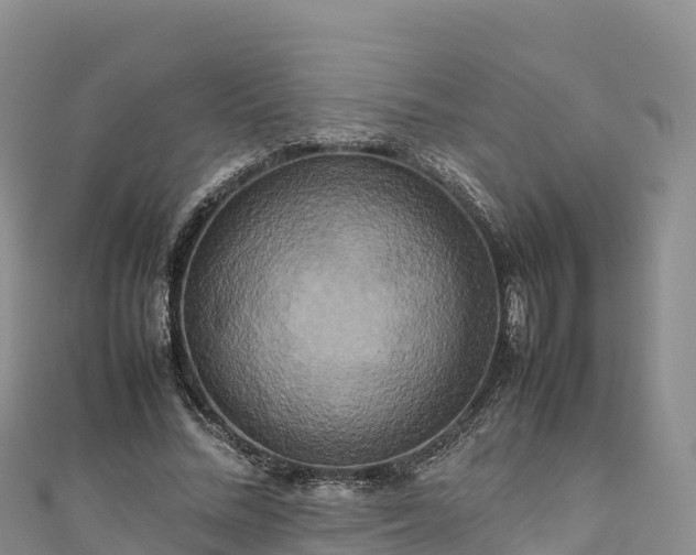 X0000111190684200907081256