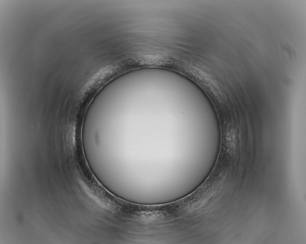 X0000111190686200907081256