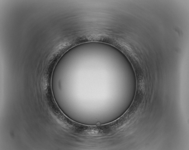 X0000111190687200907081256