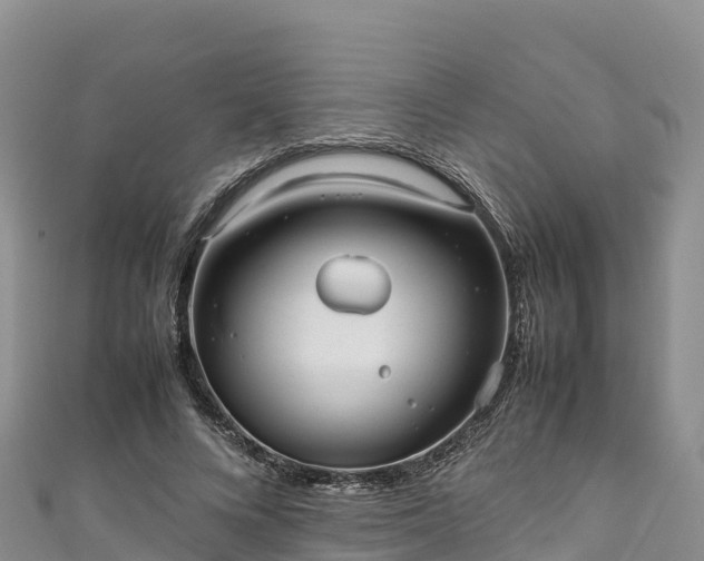 X0000111190688200907081256