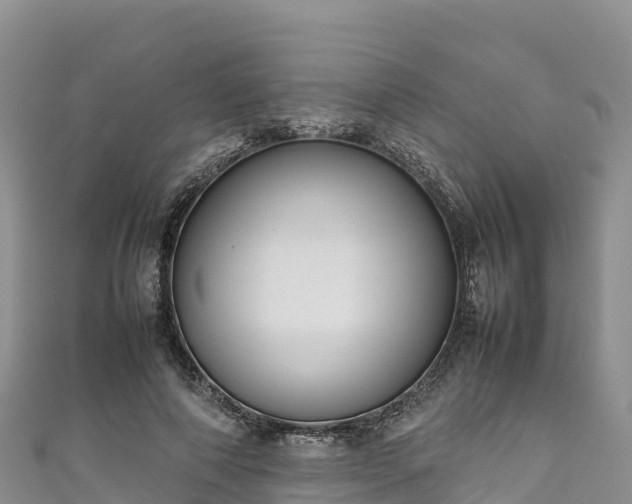 X0000111190690200907081256