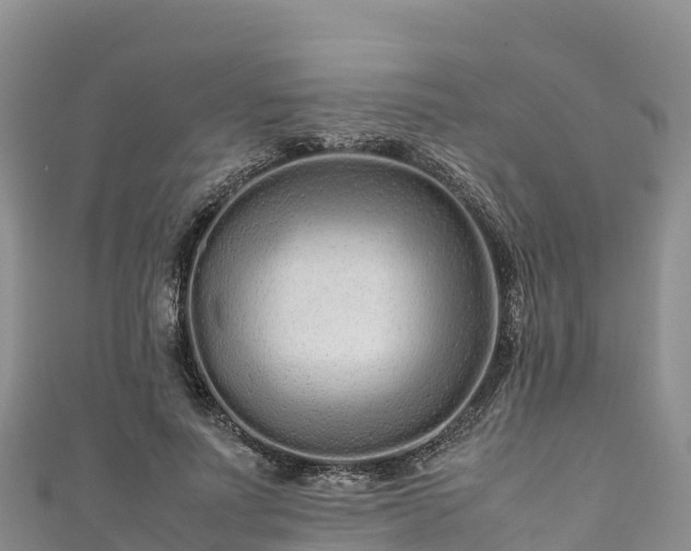 X0000111190691200907081256