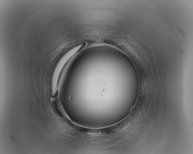 X0000111190693200907081256