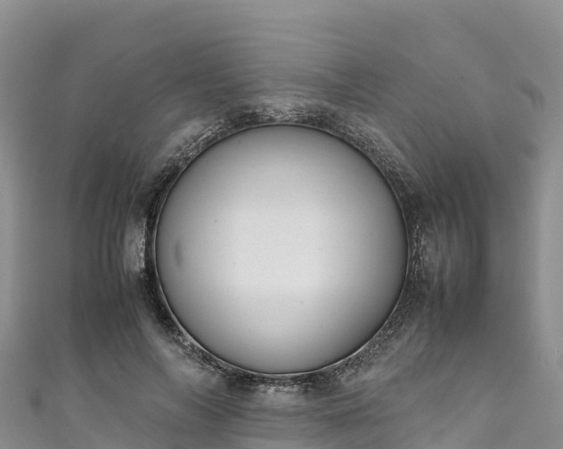 X0000111190694200907081256