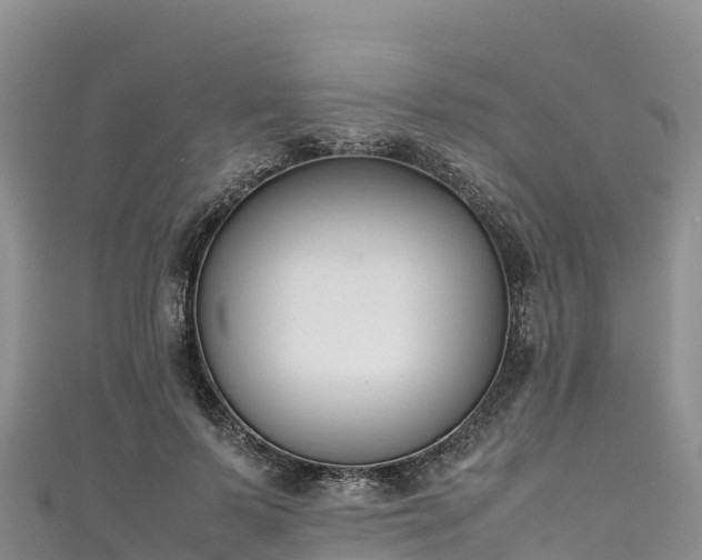 X0000111190695200907081256