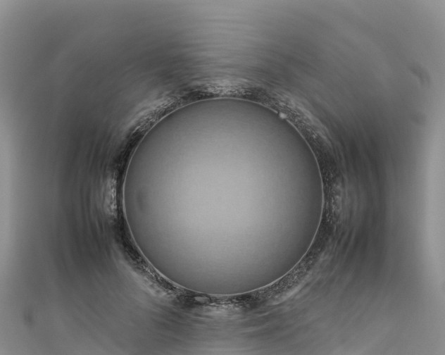 X0000111190696200907081256