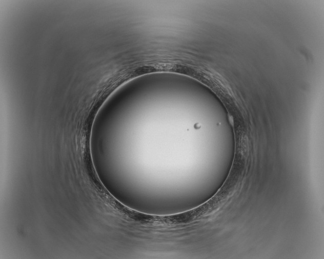 X0000111190697200907081256