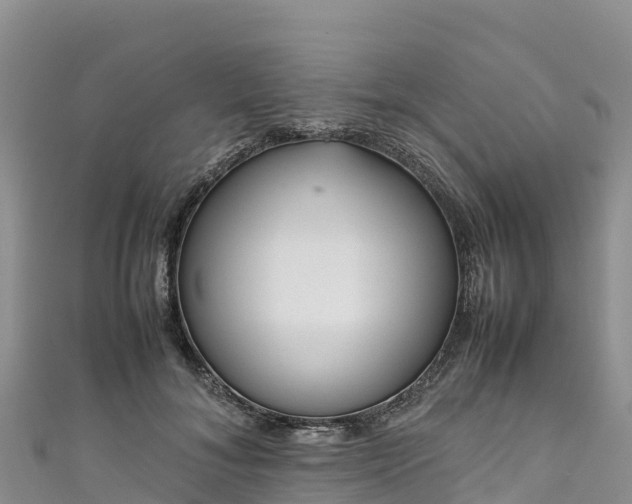 X0000111190700200907081256