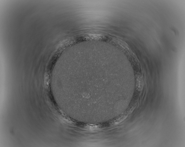 X0000111190701200907081256