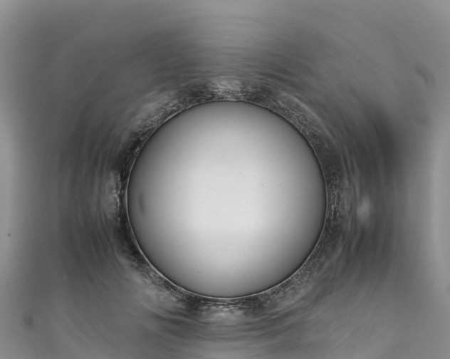 X0000111190702200907081256