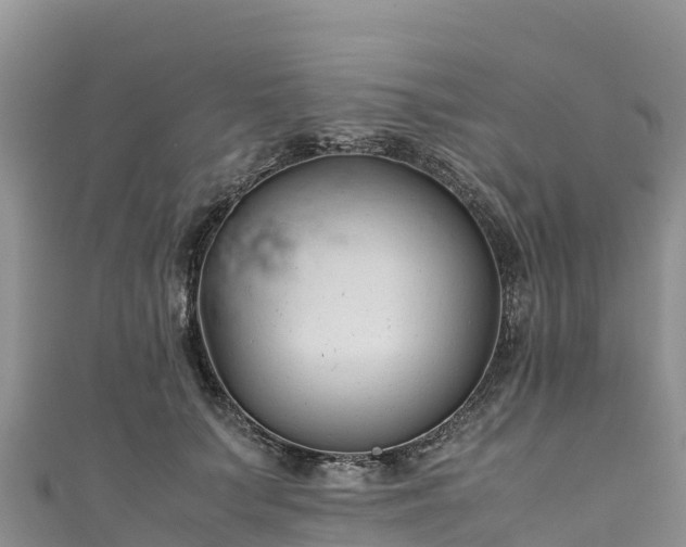 X0000111190703200907081256