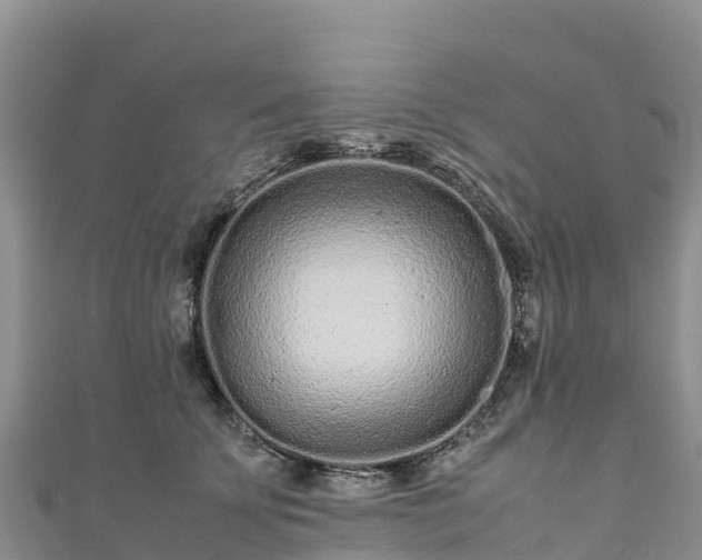 X0000111190707200907081256