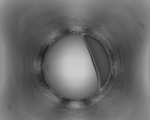 X0000111190708200907081256