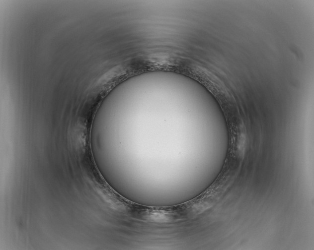 X0000111190710200907081256