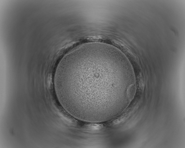 X0000111190711200907081256