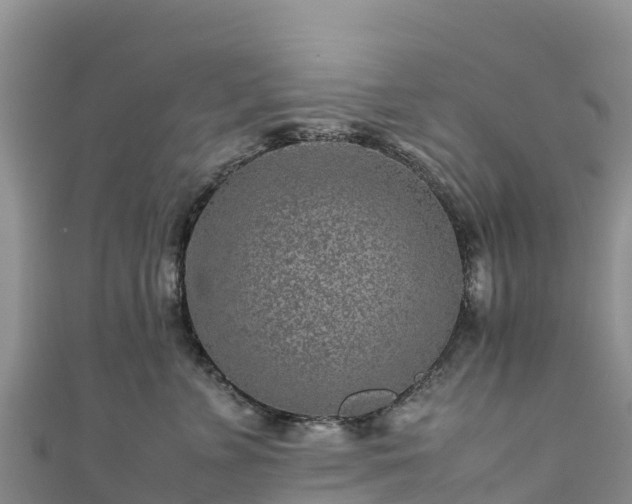 X0000111190715200907081256