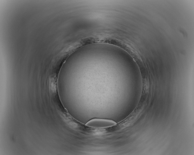 X0000111190719200907081256