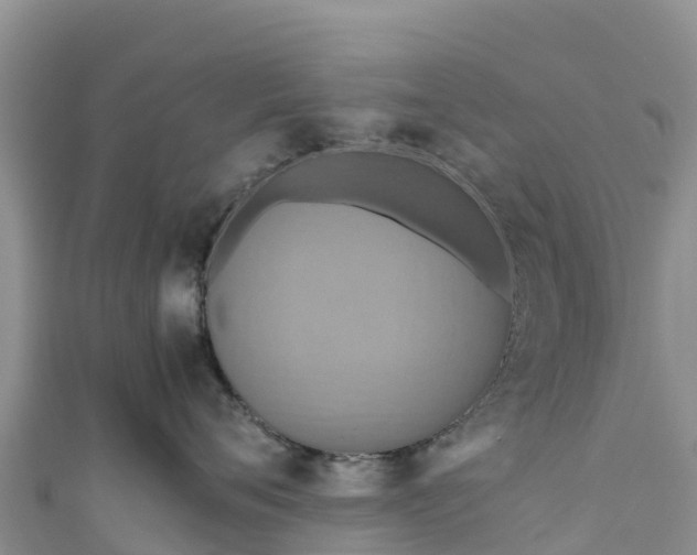 X0000111190720200907081256