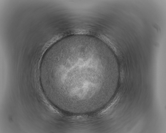 X0000111190721200907081255