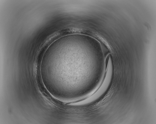 X0000111190722200907081255