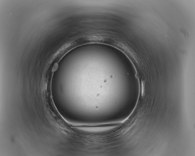 X0000111190723200907081255