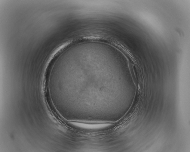 X0000111190724200907081255