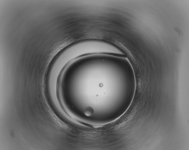 X0000111190725200907081255