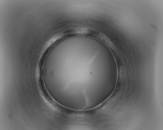 X0000111190726200907081255