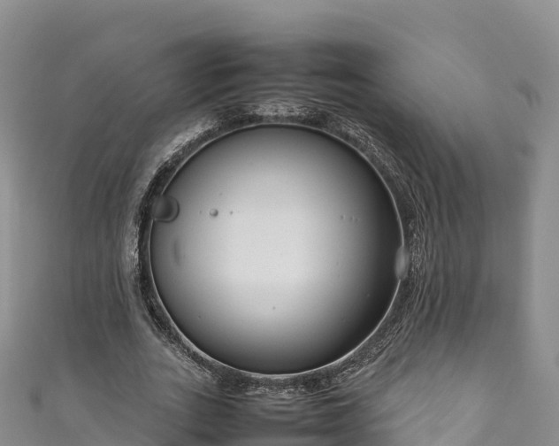 X0000111190727200907081255