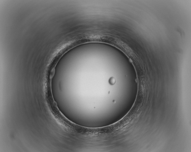 X0000111190728200907081255