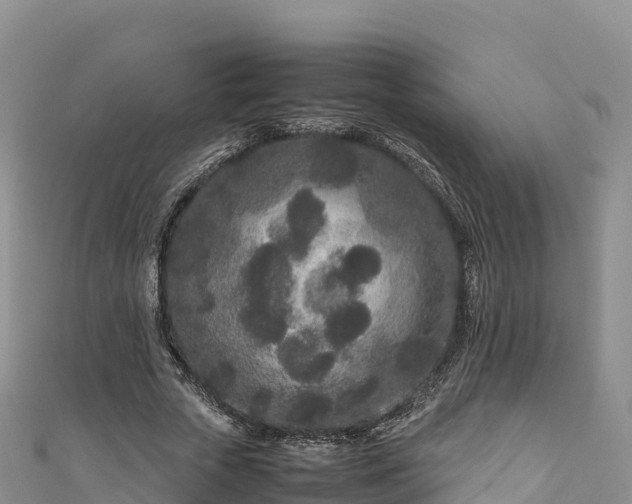 X0000111190729200907081255