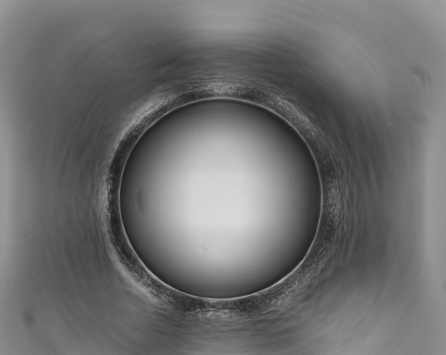 X0000111190730200907081255