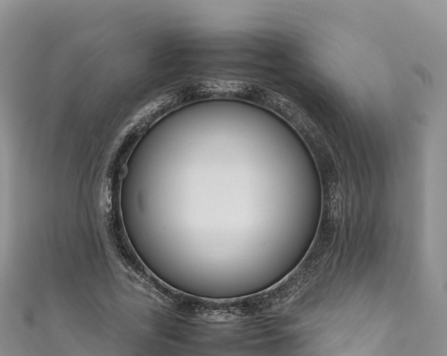 X0000111190731200907081255