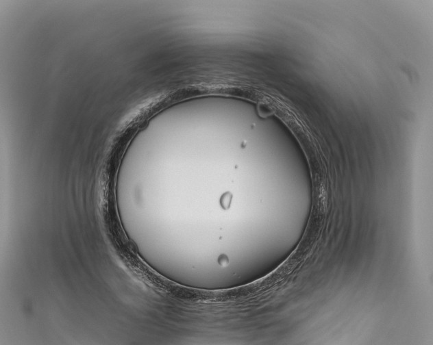 X0000111190732200907081255