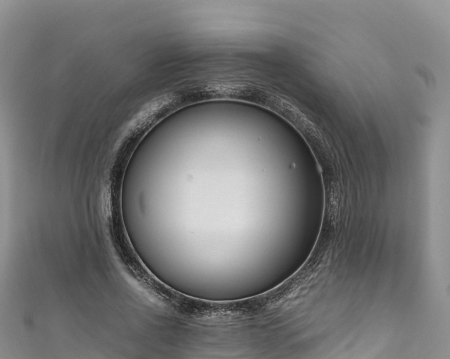 X0000111190734200907081255