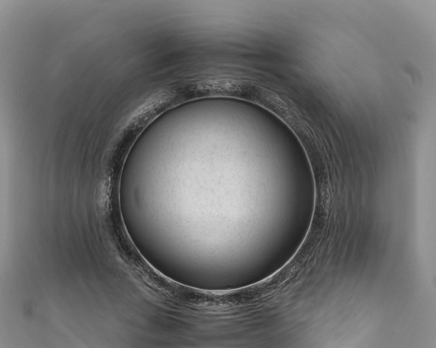 X0000111190735200907081255