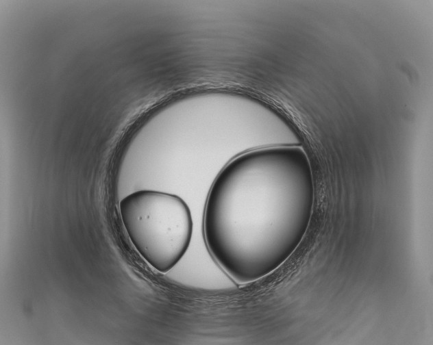 X0000111190736200907081255