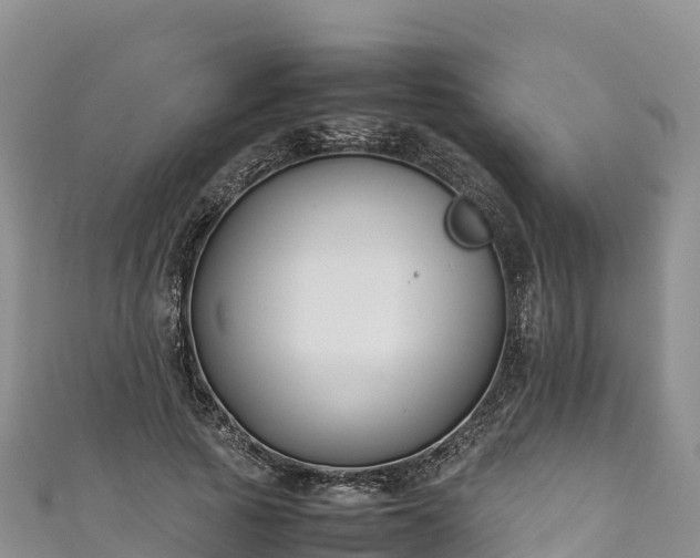 X0000111190737200907081256