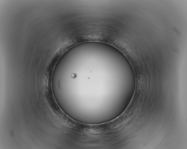 X0000111190739200907081256