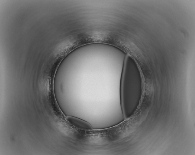 X0000111190740200907081256