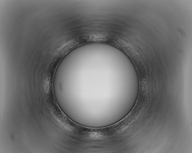 X0000111190741200907081256