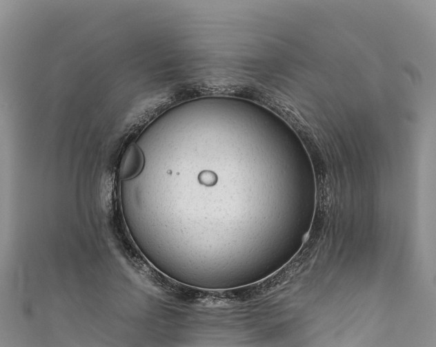 X0000111190742200907081256