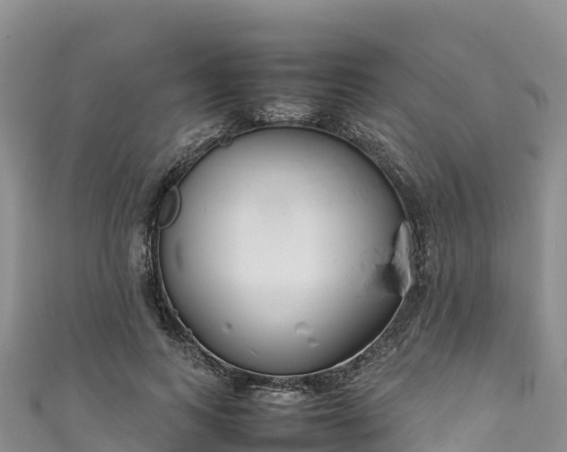 X0000111190743200907081256